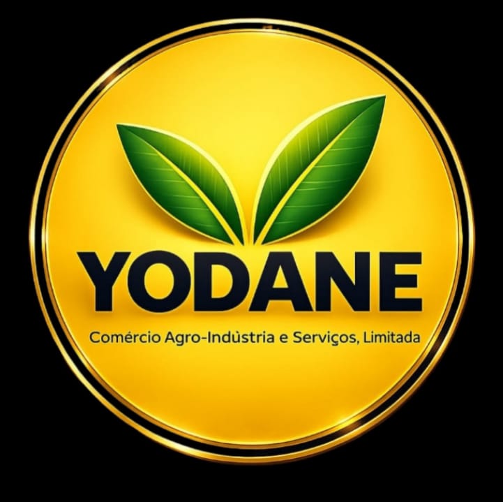 Cliente VENDI 12